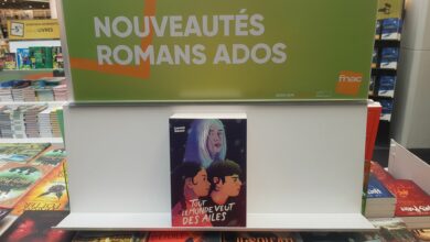 Photo of Tout le monde veut des ailes – Achat, Résumé, Avis et Critique