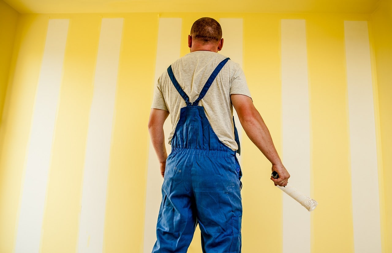 Travaux De Peinture Professionnel