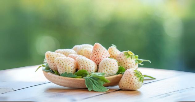 10 fruits avec des étiquettes de prix à couper le souffle