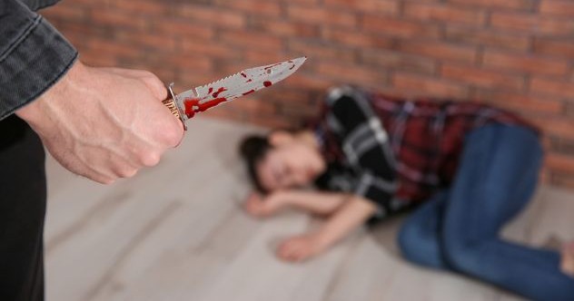 10 crimes réels inspirés par la fiction
