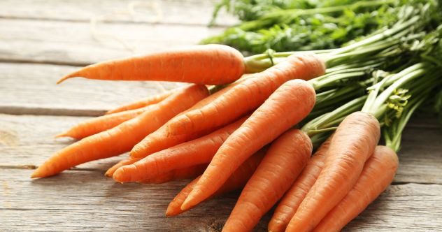 10 mésaventures totalement folles impliquant la nourriture et les condiments