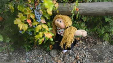 10 faits bizarres sur les Cabbage Patch Kids