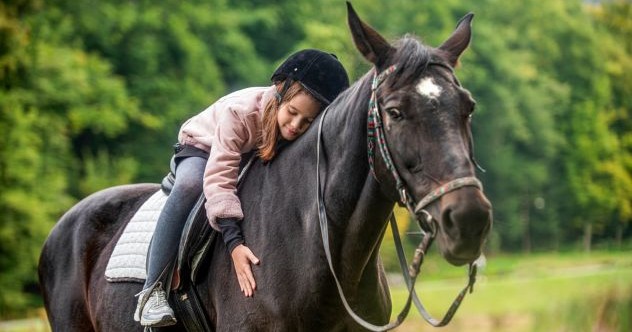 10 histoires inspirantes de chevaux devenant humains