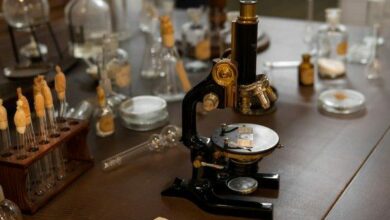 Les 10 moments les plus cruciaux en biologie