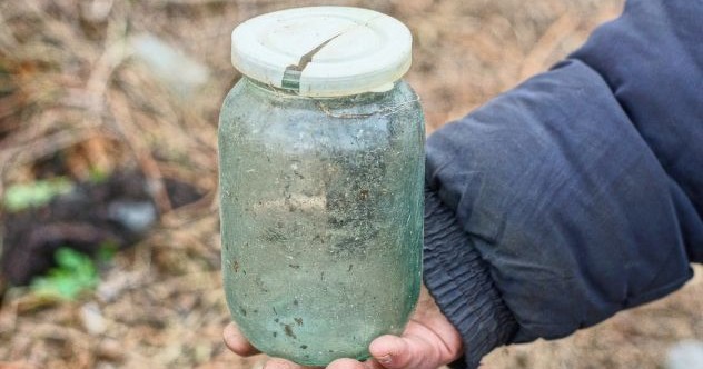 10 fois où la nourriture a ignoré sa date d'expiration pour vivre éternellement