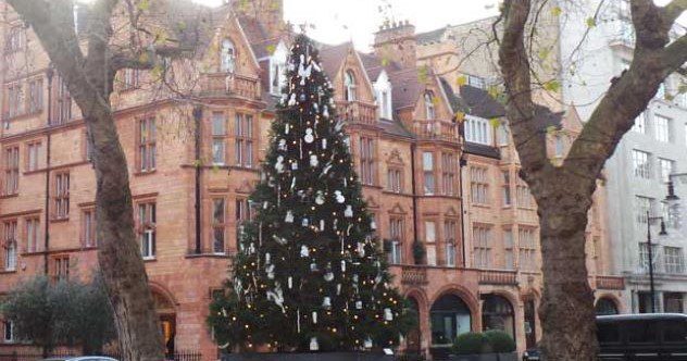 10 façons dont votre sapin de Noël est plus lumineux que vous ne le pensez