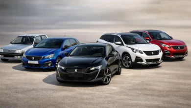 Peugeot Occasion