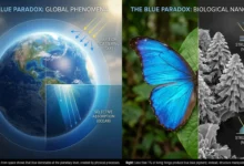 Couleur Bleue Nature